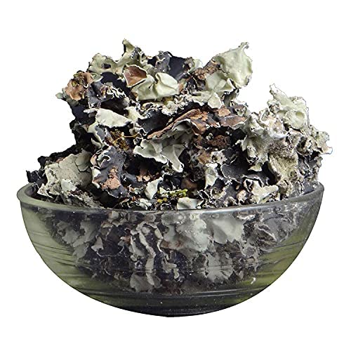 Stone Flower - | Patthar Ke Phool  (రత్న పువ్వా)
