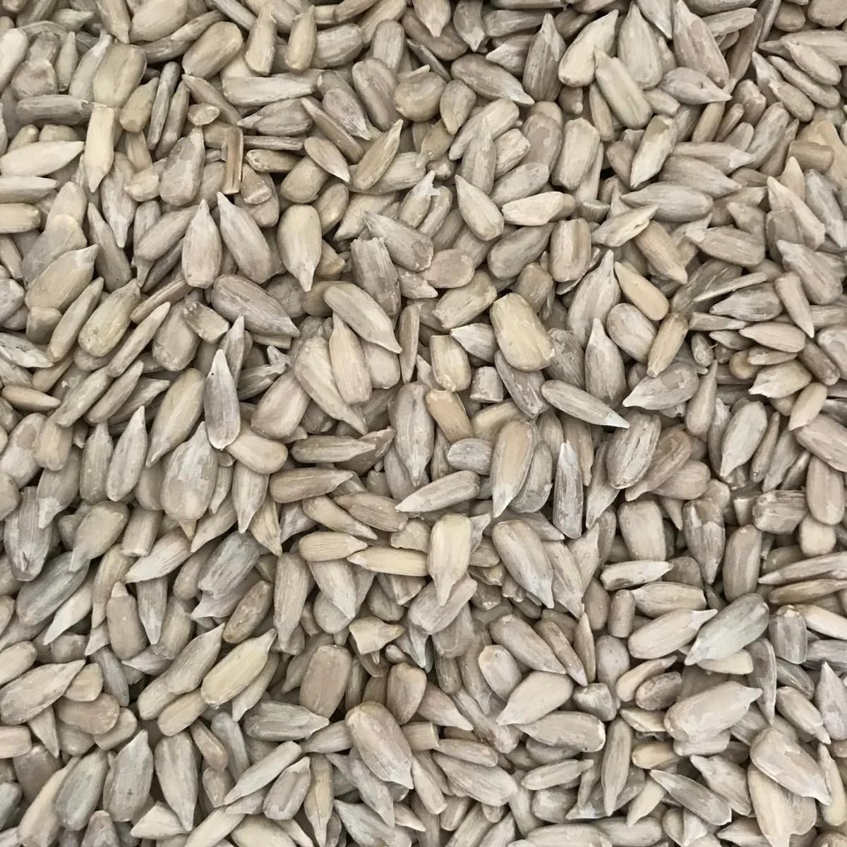 Premium Sunflower Seeds - (పొద్దు తిరుగుడు విత్తనాలు)