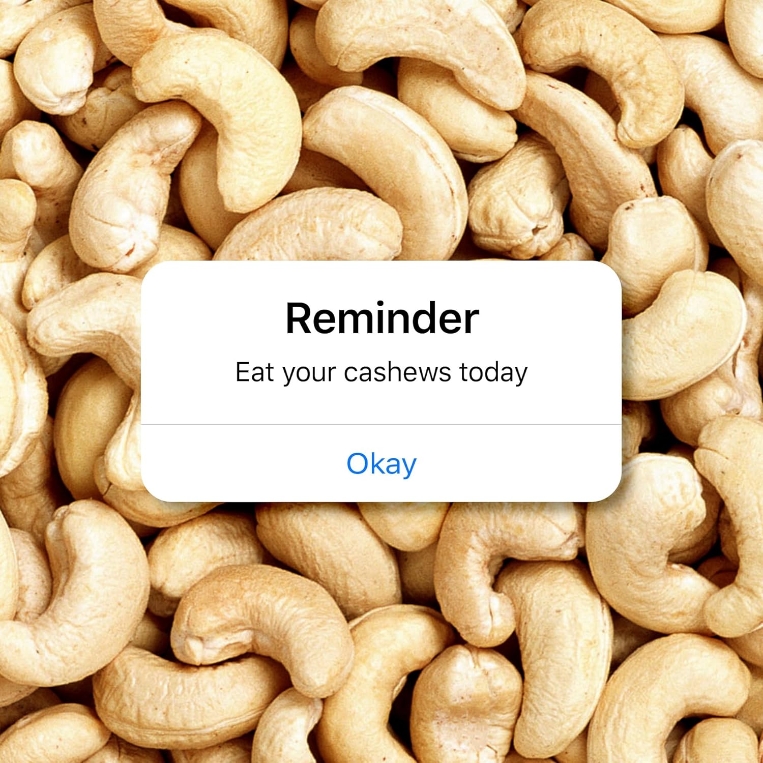 Whole Cashews -- Grade W320 Kaju
