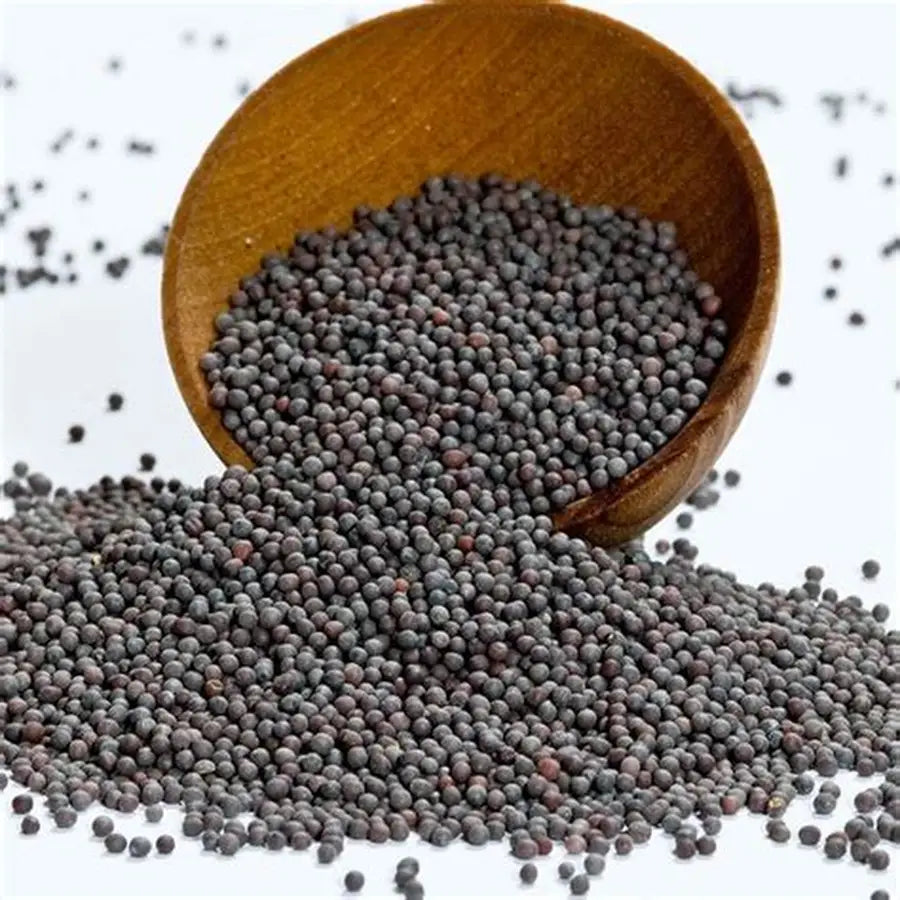 Moti Rai  --Mustard Seeds (Big) -(ఆవాలు)