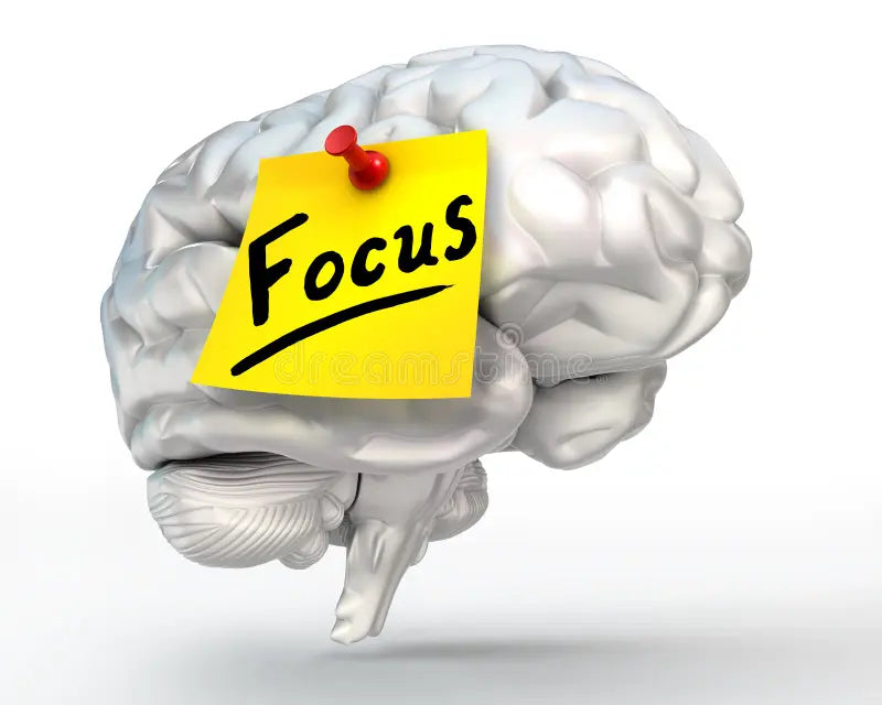 🧠 Brain & Focus Booster Dry Fruits & Seeds Mix For 15+ Teens, Adults & Elderly
