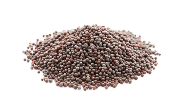 Moti Rai  --Mustard Seeds (Big) -(ఆవాలు)